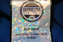 Sell: Blu-Hemi - (Supercharger x Blueberry Cruffin)