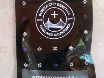 Sell: PCG'S Wedding crasher x SL SMAC + freebies