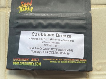 Vente: Seed junky-Carribean breeze