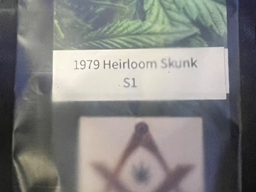 Vente: 1979 Heirloom Skunk S1 Limited Release (12 Fem seeds per pack)