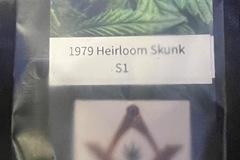 Sell: 1979 Heirloom Skunk S1 Limited Release (12 Fem seeds per pack)