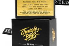 Vente: Jungle Boys | Jungle Fire - 10ct Seeds