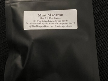 Venta: Gas Reaper Genetics Mint Macaron 10 pack