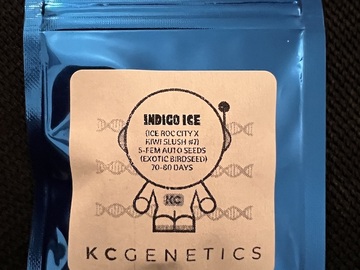 Venta: KC Genetics Indigo Ice 3 pack