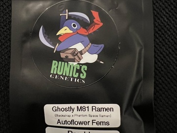 Venta: Runic Fury Ghostly M81 Ramen 5 pack