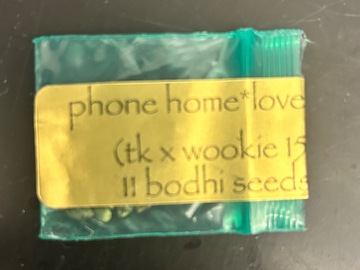 Sell: Phone Home Bodhi Seeds