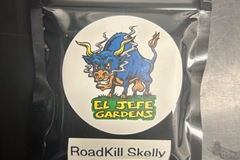 Sell: ElJefe Gardens Roadkill Skelly