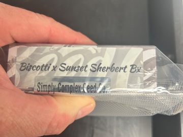 Sell: Simply Complex Seeds Biscotti x Sunset SherbBX1)