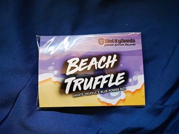Venta: Beach Truffle (White Truffle x Blue Power IX2)