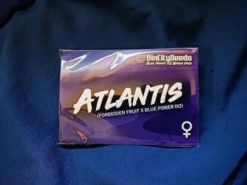 Venta: "ATLANTIS" (FORBIDDEN FRUIT X BLUE POWER IX2) 7-PACK (FEMS)