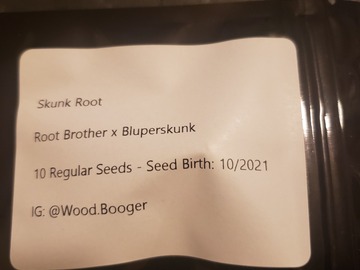 Sell: Skunk Root