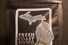 Venta: Fresh Coast Seed Co. – Burn Out