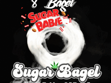 Vente: Sugar Bagel Feminized 12 Feminized seeds