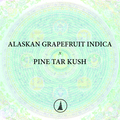 Venta: Alaskan Grapefruit  x Pine Tar Kush