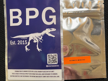 Venta: Big Pond Genetics Alpiniste Musk BX2 10+ pack