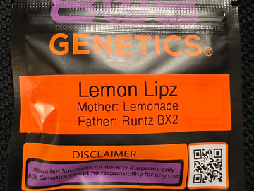 Venta: 808 Genetics Lemon Lipz 12 pack