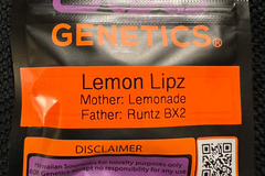 Vente: 808 Genetics Lemon Lipz 12 pack
