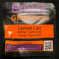 Venta: 808 Genetics Lemon Lipz 12 pack
