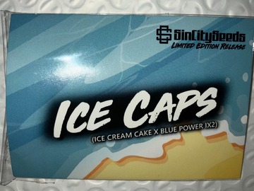 Vente: Ice Caps from Sin City