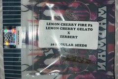 Vente: Lemon Cherry Fire F2 (R) from Tiki Madman
