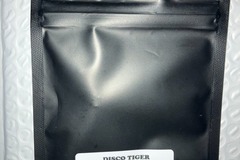 Sell: Disco Tiger from Tiki Madman