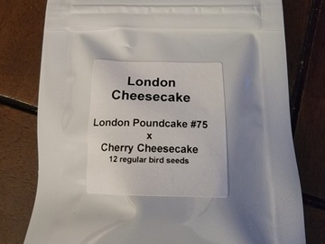 Sell: LIT Farms - London Cheesecake