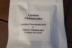 Sell: LIT Farms - London Cheesecake