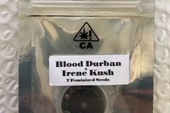 Vente: Blood Durban x Irene Kush from CSI Humboldt