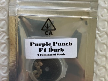 Sell: Purple Punch x F1 Durb from CSI Humboldt