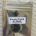 Vente: Purple Punch x F1 Durb from CSI Humboldt