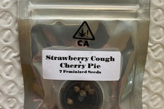 Vente: Strawberry Cough x Cherry Pie from CSI Humboldt