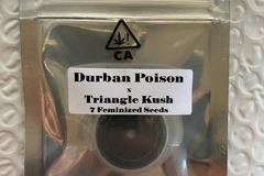 Venta: Durban Poison x Triangle Kush from CSI Humboldt