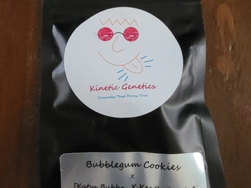 Vente: Kinetic Genetics - BBG Cookies x (Katsu Bubba/Keed's Candy)