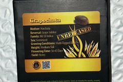 Venta: Grapechata from Exotic Genetix