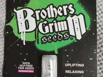 Sell: Brothers Grimm - Grimm Glue XX
