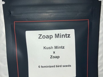 Sell: Zoap Mintz from LIT Farms