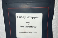 Venta: Pussy Whipped from LIT Farms
