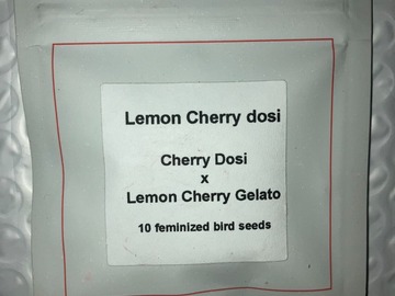Sell: Lemon Cherry Dosi from LIT Farms