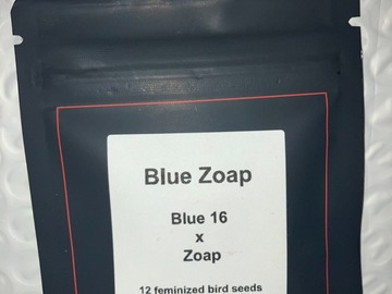 Vente: Blue Zoap from LIT Farms
