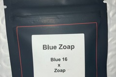 Sell: Blue Zoap from LIT Farms
