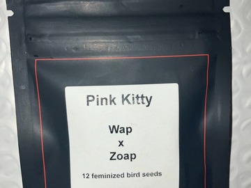 Sell: Pink Kitty from LIT Farms
