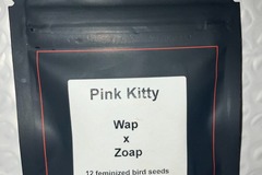 Vente: Pink Kitty from LIT Farms