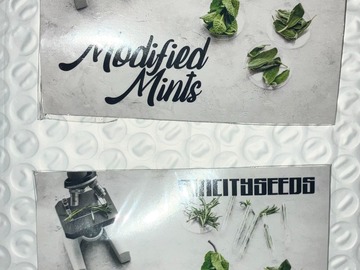 Vente: Modified Mints from Sin City