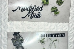 Sell: Modified Mints from Sin City