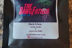 Sell: The DawgFather