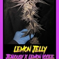 Vente: Lemon jealousy pollen
