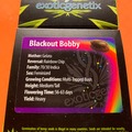 Sell: EXOTIC GENETIX - BLACKOUT BOBBY