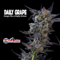 Sell: Daily Grape