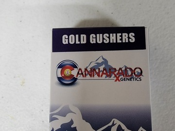 Vente: Cannarado Genetics - Gold Gushers