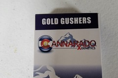 Sell: Cannarado Genetics - Gold Gushers